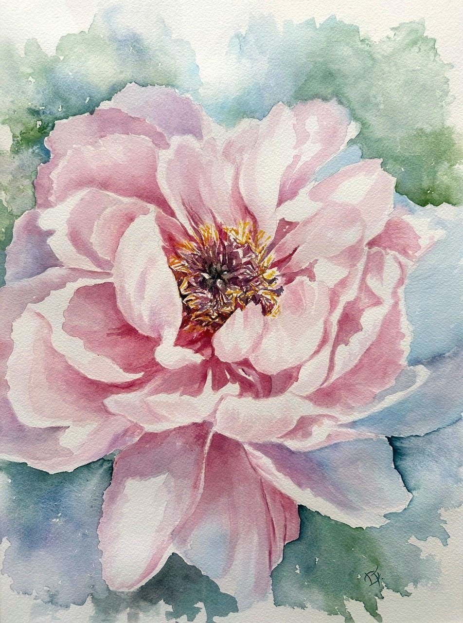 Acquerello di Peonia