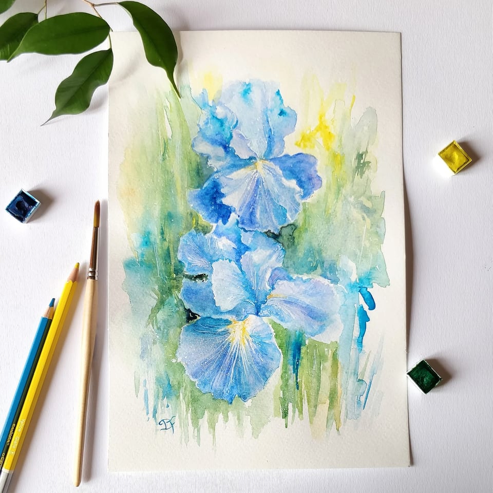 Acquerello di iris azzurri con centro giallo su sfondo verde