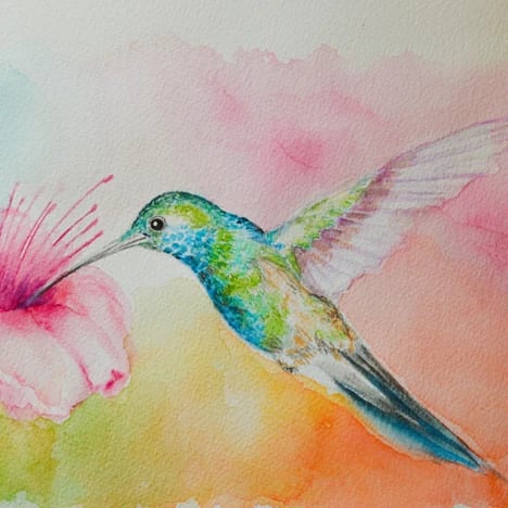 Acquerello di un colibrì che si avvicina a un fiore rosa